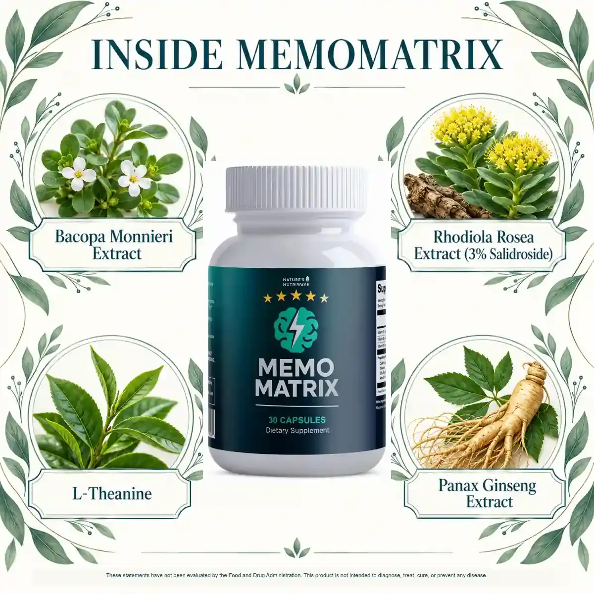 Inside MemoMatrix brand graphic naming bacopa, rhodiola, L-theanine and Panax ginseng