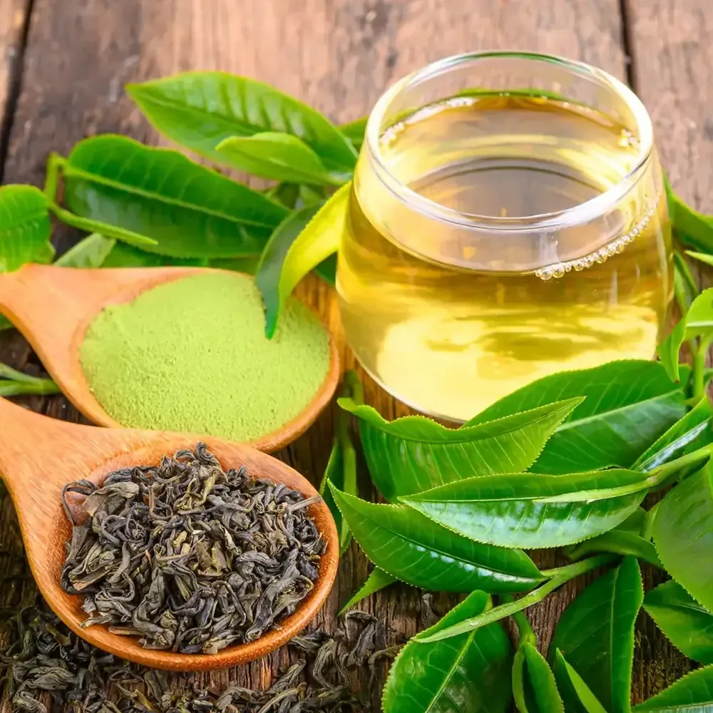 Green tea leaves, matcha powder and tea